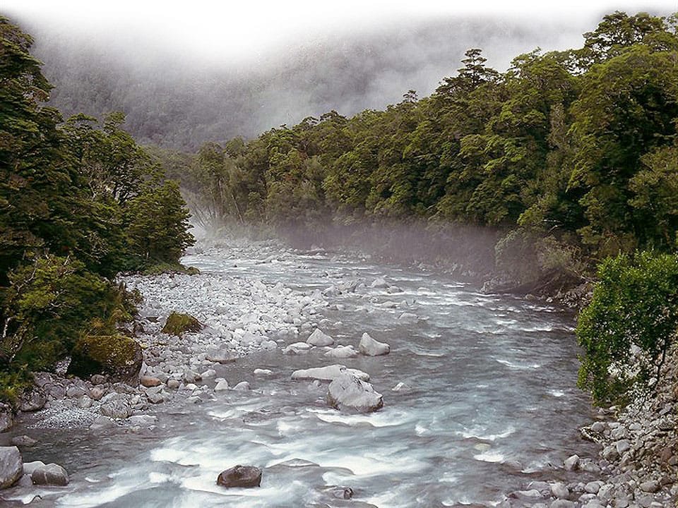 The rivers of Fiordland are fresh and beautiful.
