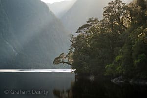 Coastal edge and Fiordland bush. © Graham Dainty